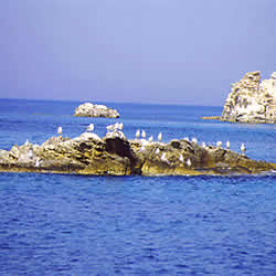 small island 