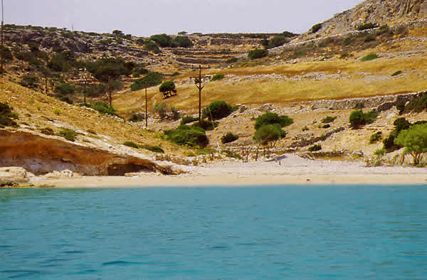 nice sandy beach