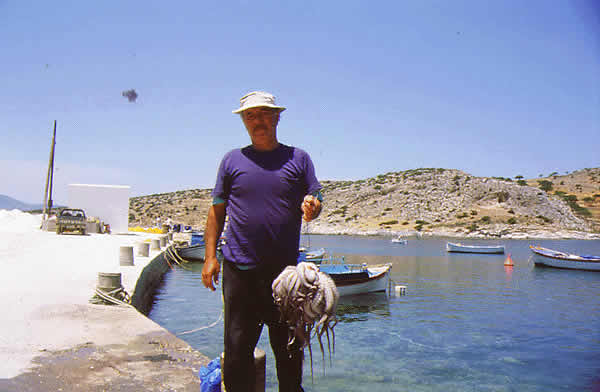 octopus catch of day