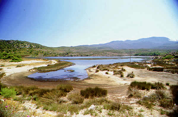 inlet and wetlands