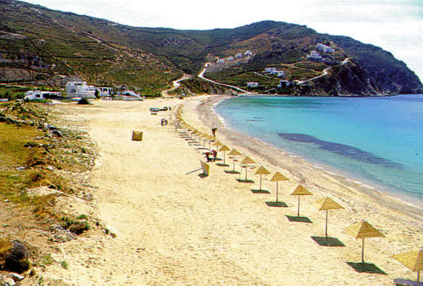 cleaning the beach