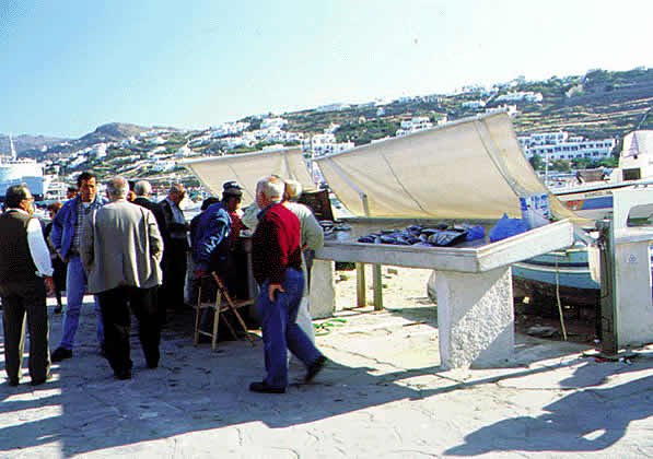 fish for sale
