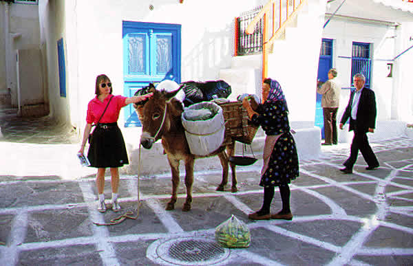 mule conveyance