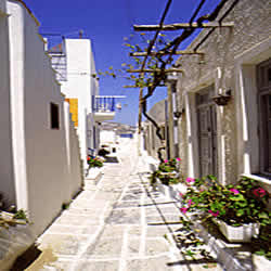 street
