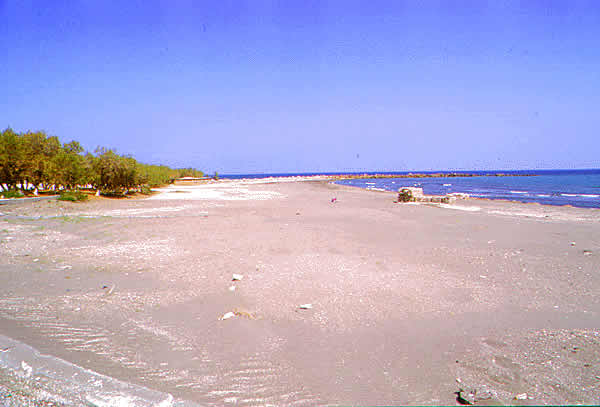 a grey beach with some black sand