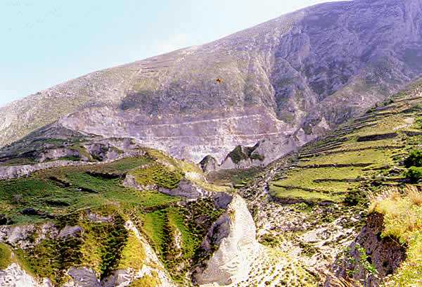 green terraced slopes