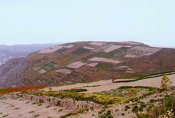 farmers fields patchwork quilt