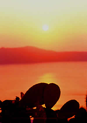 a sunset over the caldera thru a prickley pear