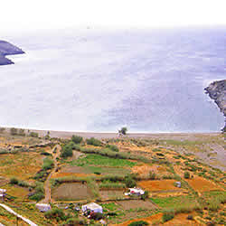 farming near sea