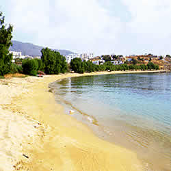 beach view