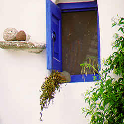 window treatment