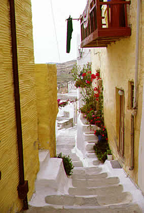 a colorful alley way with bouganvillea