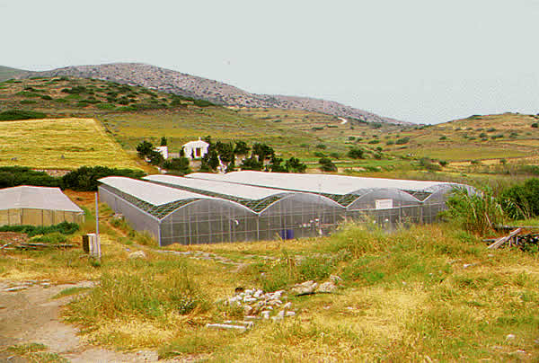 plastic grow sheds