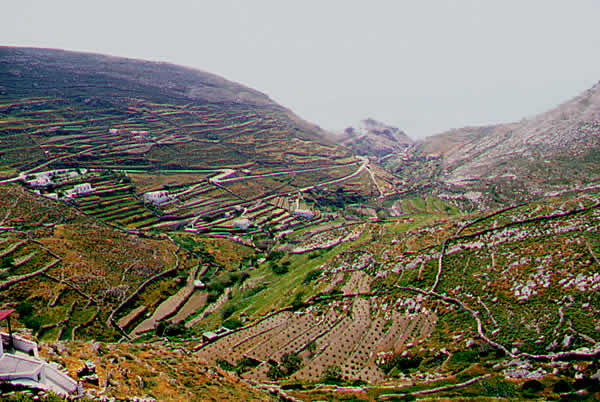 terraced fields