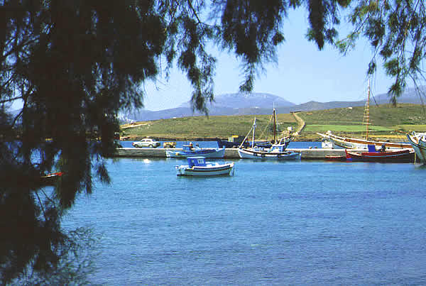 a view of fishing boats and port