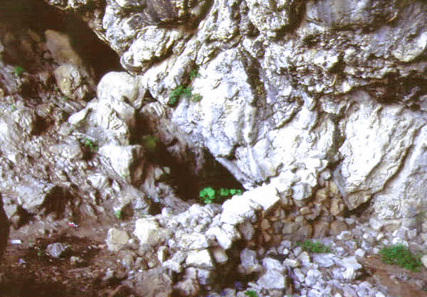 fissure in earth