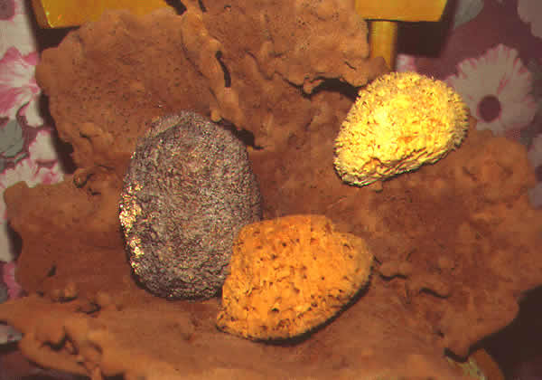 mineral deposits