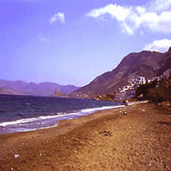 nice sandy beach