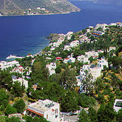 coast with houses