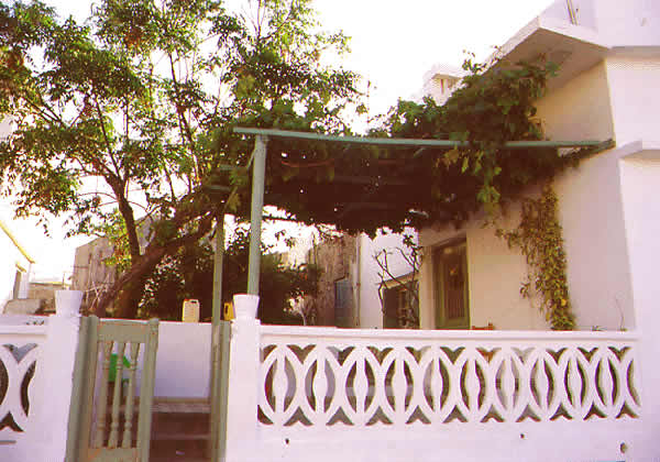 local garden