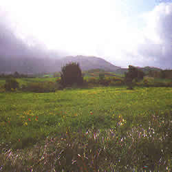 country side