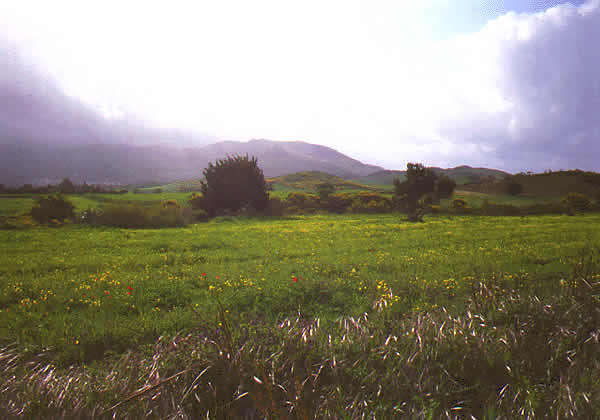 a view of the country side