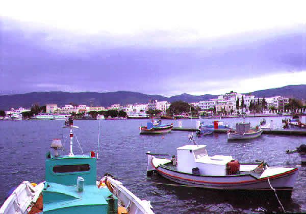 the harbor view