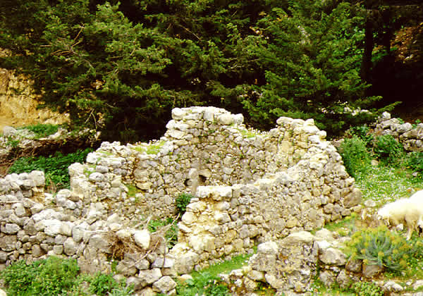 local ruins