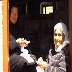 widows