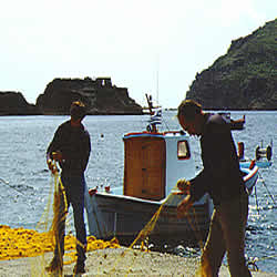 fisherman