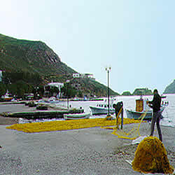 harbor