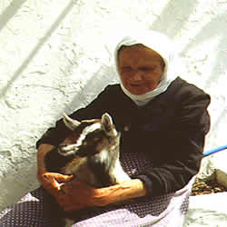 old lady