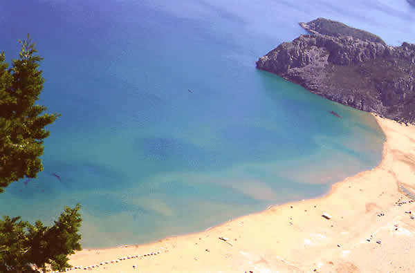 cove type beach with clear water