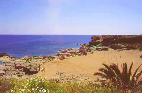 rocky island shore swimming