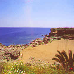 island shoreline