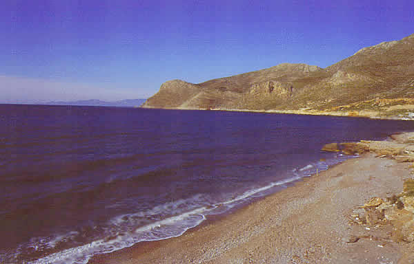 sandy beach during day