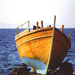 fish boat