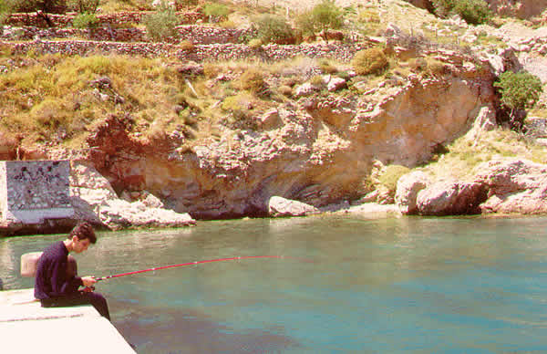 boy fishing off pier with rod
