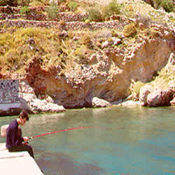 fishing off pier