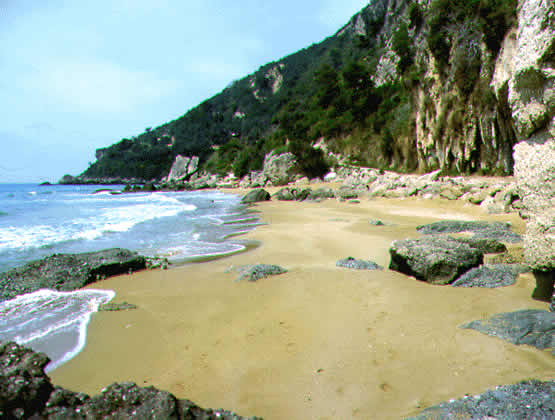 sandy beach with rocks