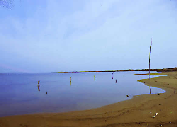 beach