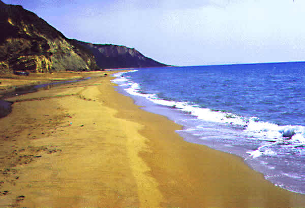sandy beach with waves
