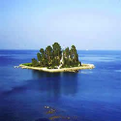 islet with trees