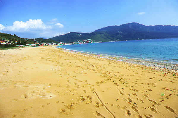 a nice sandy beach