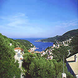 the bay