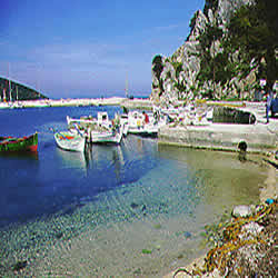 more boats