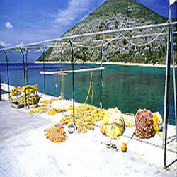 fishing acctrements and nets