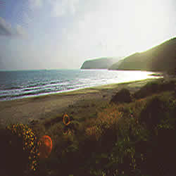 another great beach