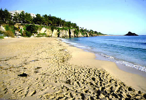 a really nice beach