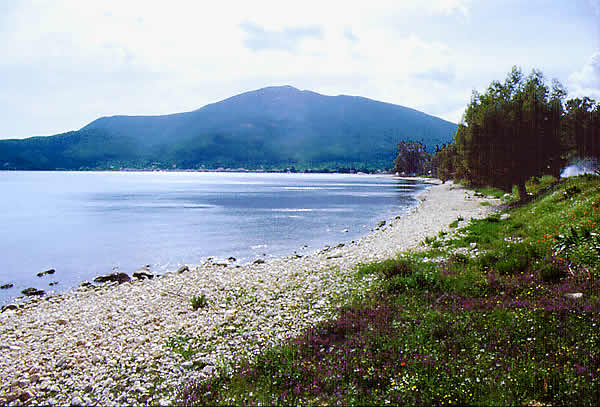 a really nice beach